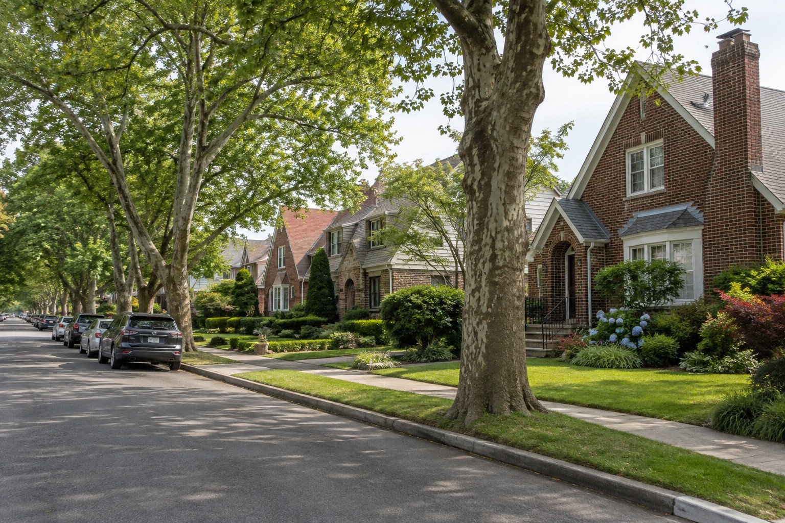 A tree lined street in Bayside, Queens